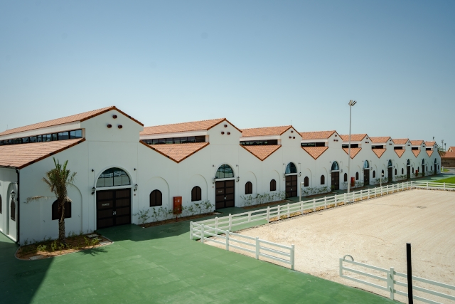 Abu Dhabi Equestrian Club livery services