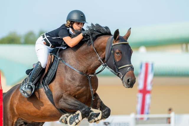 Abu Dhabi Equestrian Club competitions