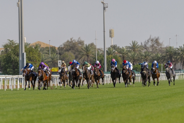 Abu Dhabi Equestrian Club horse racing