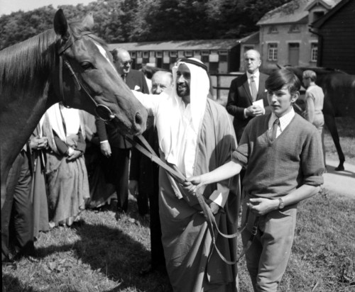 HH Sheikh Zayed with a horse