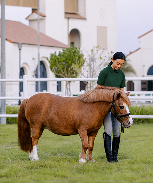 ADEC Pony Club member with a chestnut pony in front of the equestrian club building
