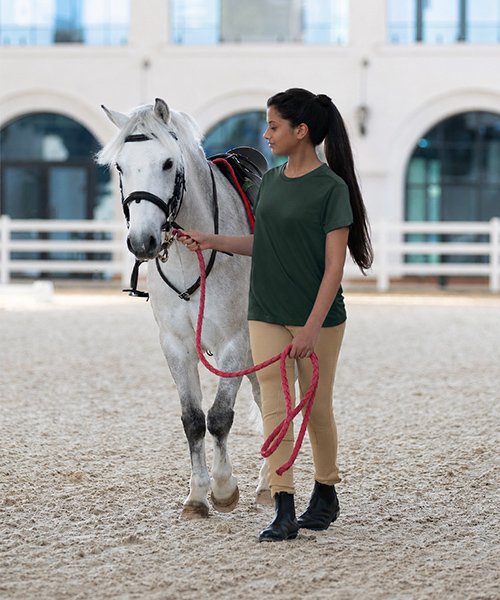 ADEC - Pony Club - carousel (8)