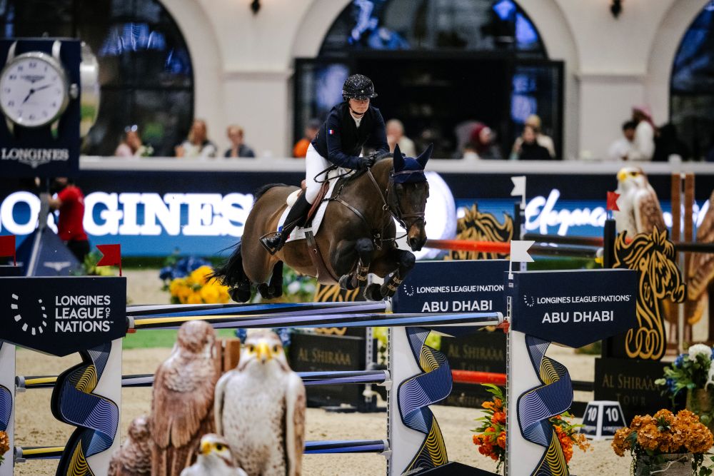 International Showjumping Top international rider and horse competing.