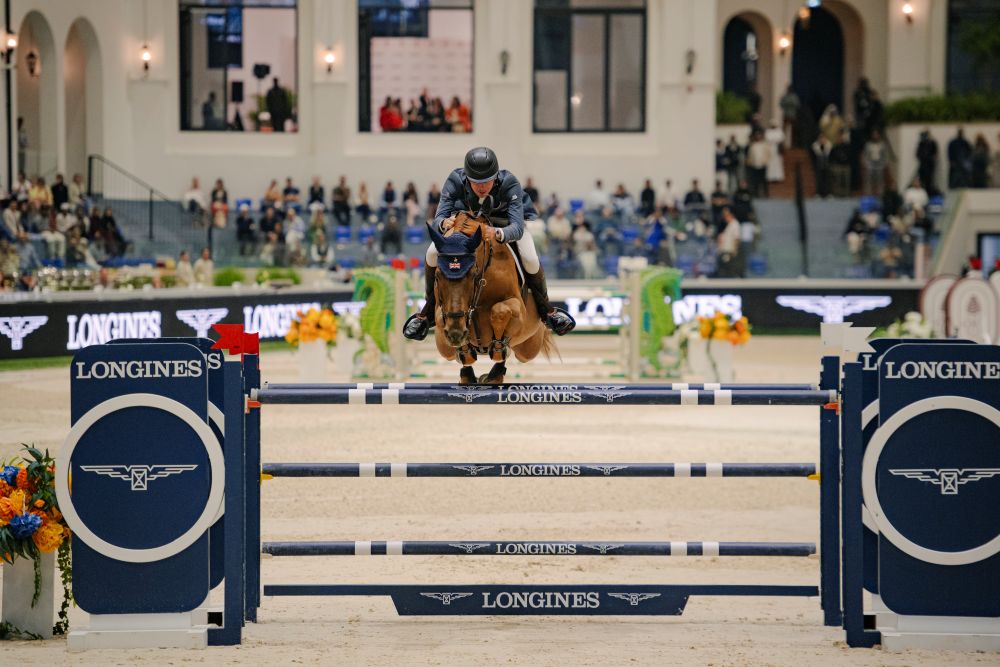 Abu Dhabi Equestrian Club · CSI5*-W Elite rider and horse chasing points on the global road to the FEI Jumping World Cup™ Final.