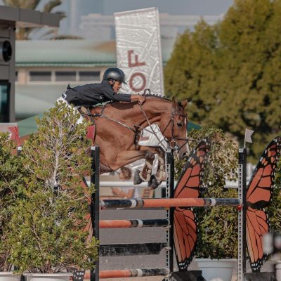 Abu Dhabi Equestrian Club Show Jumping Competition CSI4 - 2023 (6)